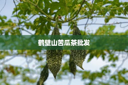 鹤壁山苦瓜茶批发