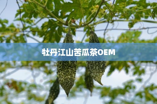 牡丹江山苦瓜茶OEM