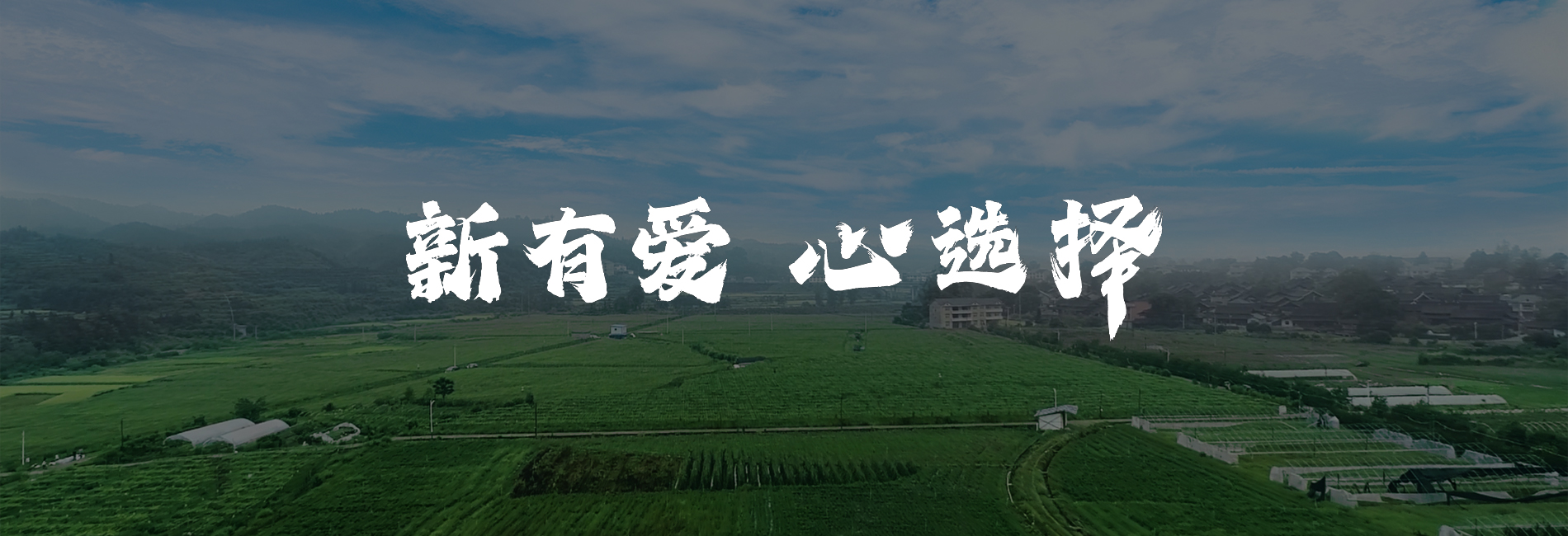 益生元植物饮代加工厂家